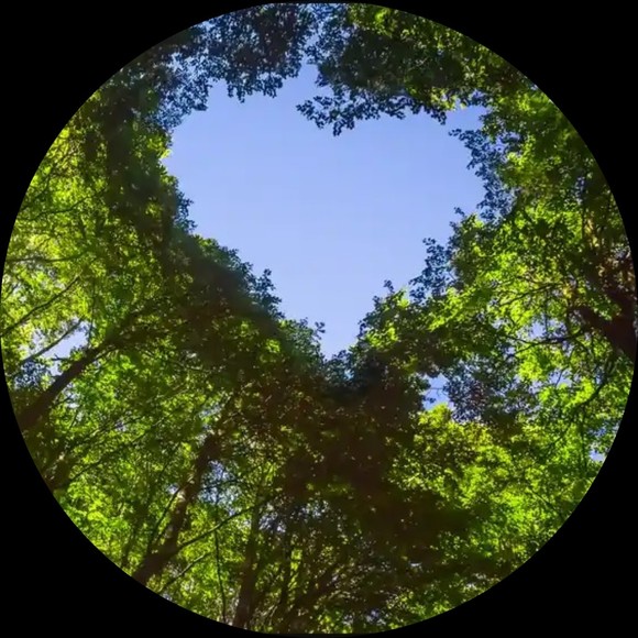 bluegreentrees